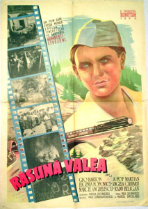 afis-rasuna-valea