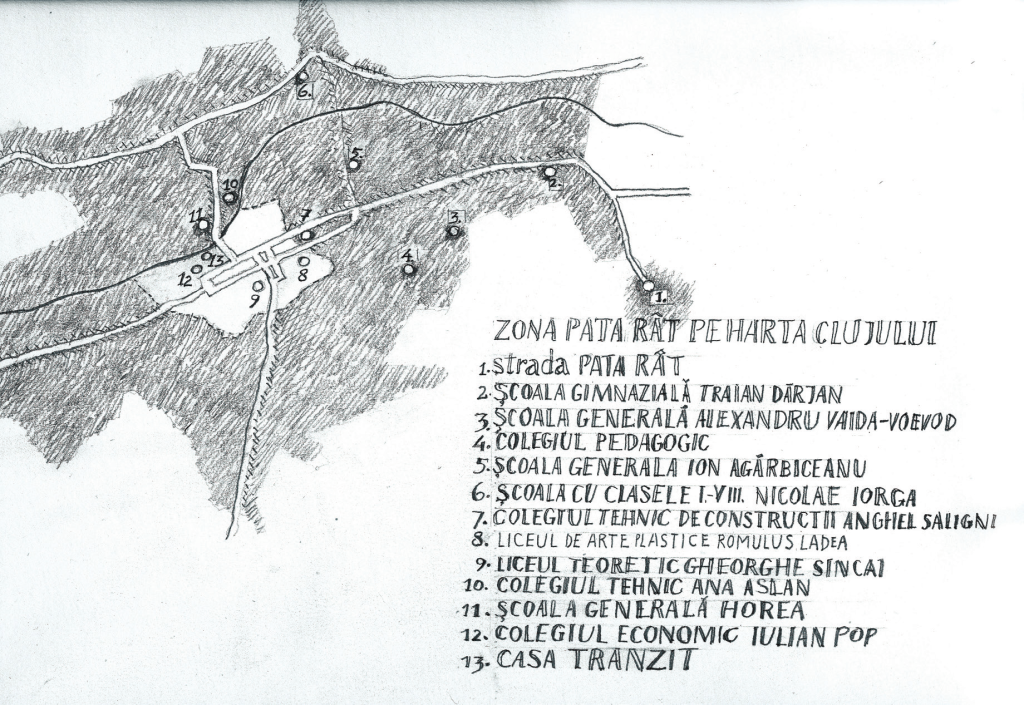 Zona de locuire defavorizată Pata Rât din Cluj este un exemplu al manifestării spațiale a marginalității avansate. Ea include patru cazuri cu istorii și situații actuale diferite: colonia Dallas și colonia plasată pe rampa de gunoi, formate începând cu anii 1970, și  extinse după 1990, în urma creşterii continue a numărului  persoanelor sărăcite, în căutare de surse de venit și  locuire accesibilă; colonia de pe strada Cantonului, constituită după 2002, în urma evacuărilor din diverse zone ale Clujului și amplasării familiilor evacuate în această zonă de către autoritățile locale, dar și ca rezultat al stabilirii aici a multor familii în căutare de resurse de trai; colonia Noul Pata Rât, sau “Colina Verde”, formată în urma construirii, în 2010, de către Primăria și Consiliul Local a zece "case modulare" în apropierea rampei de gunoi și relocarea aici, a familiilor evacuate dintr-o zonă relativ centrală a orașului, strada Coastei. Copiii din Pata Rât sunt înscriși la mai multe școli din orașul Cluj, la unele mai mulți sau foarte mulți, la altele mai puțini sau foarte puțini (cu excepția Liceului Teoretic Gheorghe Șincai, care, însă, este partenerul nostru în ROMEDIN, în timp ce, chiar dacă școlarizează copii din Pata Rât, Liceul de Arte Plastice Romulus Ladea a refuzat colaborarea cu noi).  Derularea atelierelor de la Casa Tranzit înseamnă un lucru aparent obişnuit: copii şi adolescenţi îşi petrec timpul liber de la sfârşitul săptămânii învăţând să deseneze şi joace teatru. Totuşi, ei vin pentru câteva ore în centru, dintr-o zonă marginalizată a Clujului, o zonă în care au ajuns să trăiască forţat, datorită proceselor de transformare socioeconomică de la nivelul oraşului, care le-a precarizat familiile împingându-le în periferie. Participarea lor săptămânală la ateliere dobândeşte şi mai multă semnificaţie politică în condiţiile în care susţinerea financiară locală se distribuie inechitabil către proiecte culturale, aşa cum este actualul Cluj Capitala Tineretului 2015, pentru care tinerii ce nu promit performanţă, creativitate, excelenţă în leadership sau cariere de succes sunt invizibili, negându-le astfel existenţa, atât timp cât nu fac parte din modelul dominant al Tineretului. (Simona Ciotlăuș)
